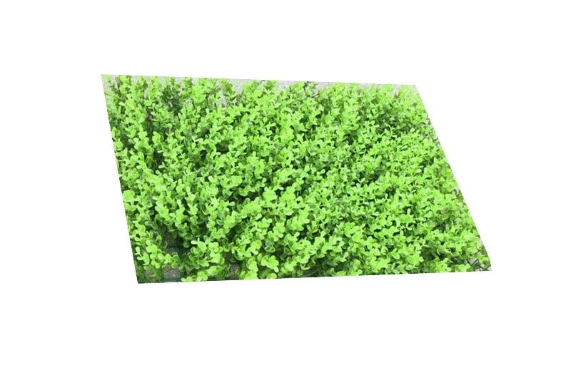 Simulation Plants Background Wall Decoration Crypto Eucalyptus Modeling Green Plant