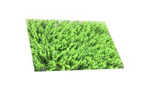 Simulation Plants Background Wall Decoration Crypto Eucalyptus Modeling Green Plant