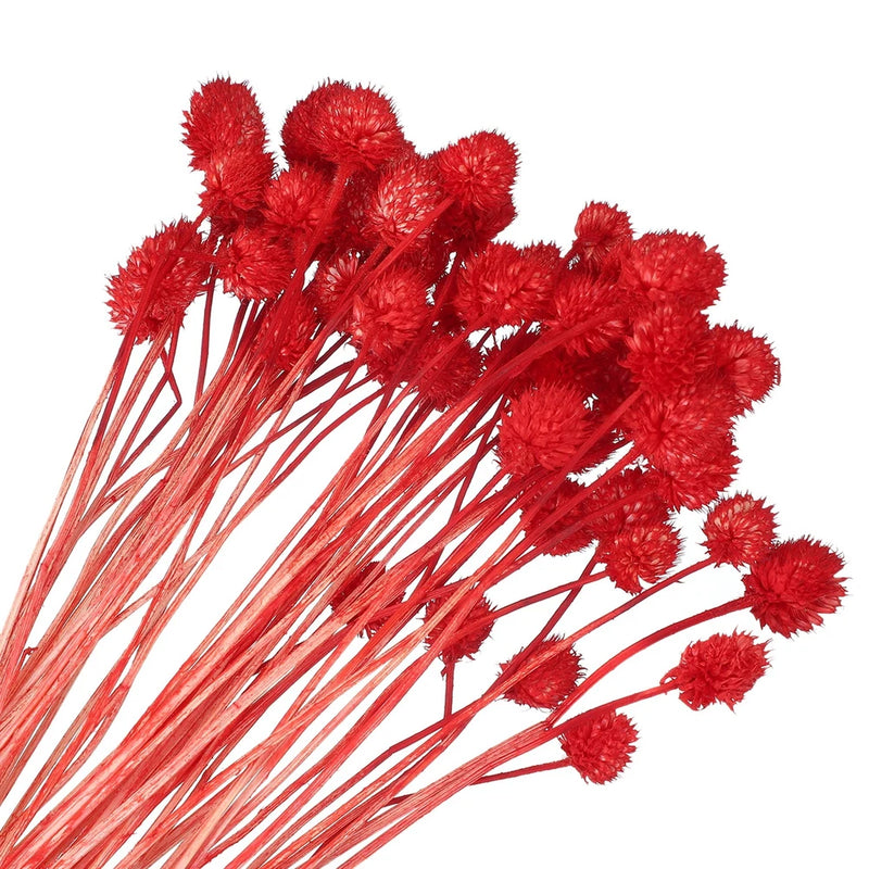 60 Pcs 16 Inch Dried Flowers for Vase Mini Pine Ball Flowers Red(Stem) Dried Flower