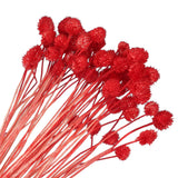 60 Pcs 16 Inch Dried Flowers for Vase Mini Pine Ball Flowers Red(Stem) Dried Flower