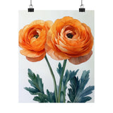 Boho Peach Ranunculus Flower Art Print Poster, Minimalist Floral Wall Art 2 Ranunculus