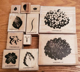 Stampin Up DEFINITELY DECORATIVE HYDRANGEA Flower Leaves Retired Hydrangea