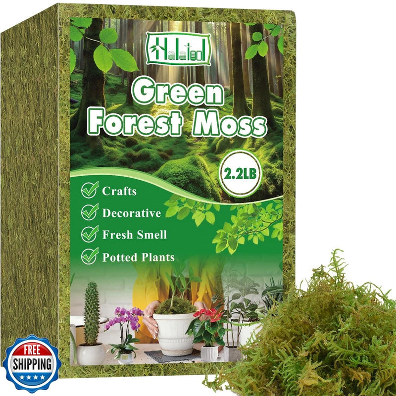 Halatool Green Forest Moss for potted plants, 2.2 lb pack