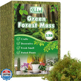 Halatool 2.2LBS Forest Green Moss for Indoor Potted Plants, Orchid Potting Mi Orchids