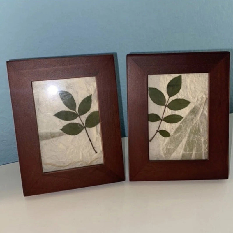 Framed pressed leaf dried flower wall art, dark wood frame with green leaves