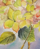 Original Watercolor Painting Flowers Hydrangea  Wall Art Hand Made Painted Hydrangea
