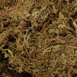 2 Packs Dried Moss for Flowerpot Landscaping Natural Moss Gardening Lichen Green Plant