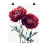 Boho Burgundy Ranunculus Flower Art Print Poster, Minimalist Floral Wall Art 4 Ranunculus