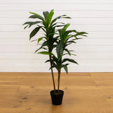 4Õ Dracaena Artifical Plant w/75 Lvs Home Decor (Real Touch). Retail $89 Green Plant