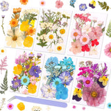Pressed Dried Flowers 102 Pcs Natural Mixed Colors Real Preserved Petals Kit Dried Flower