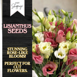 Lisianthus Seeds - 100 Seeds Garden Bloom Flower Seed Flowers Non Gmo Heirloom Garden Plants