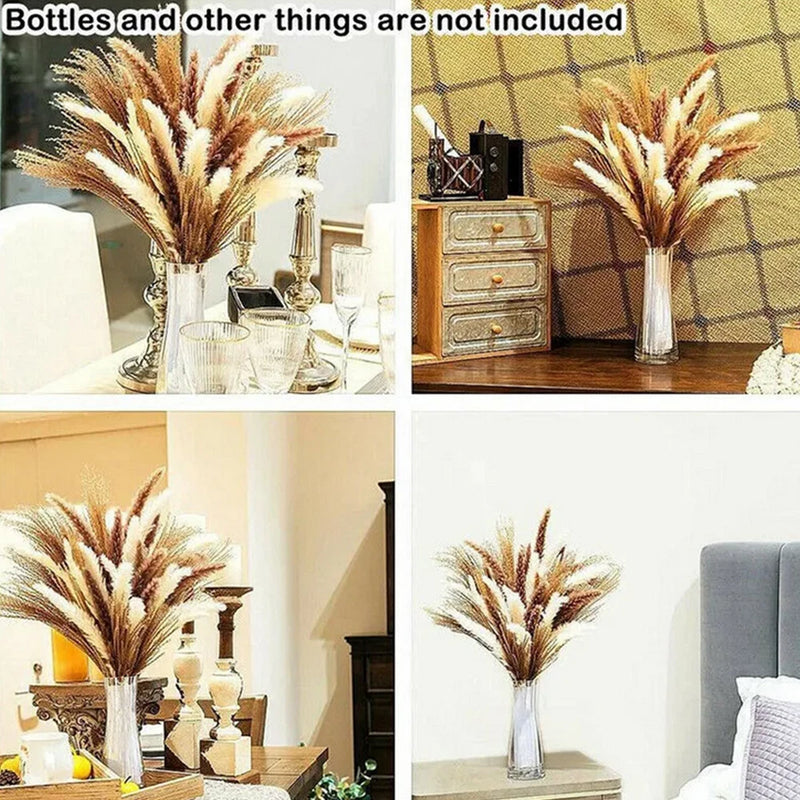 Dried Natural Pampas Grass, 60 Pcs with 3 Colors Bunch Bouquets Home Decor Pampas Grass