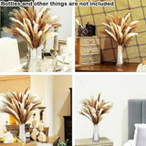 Dried Natural Pampas Grass, 60 Pcs with 3 Colors Bunch Bouquets Home Decor Pampas Grass