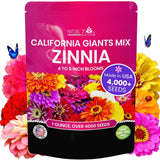 Zinnia Seeds for Planting Outdoors Ð California Giants Flower Seeds, Bulk Sem... Flowering Plants