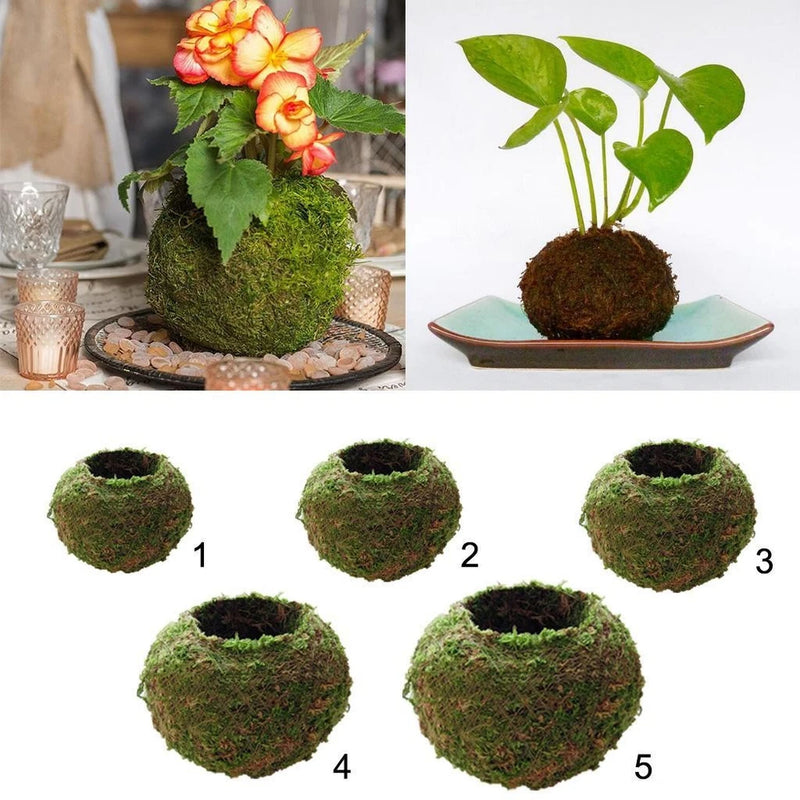 Moss ball flower pot planter with small plant, textured green sphere on base tray