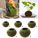 Creative Moss Ball Flower Pot Planter Bonsai Plant Holder Home Garden Garden Plants
