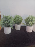 Liancai artifical green grass plant 3 pack Green Plant