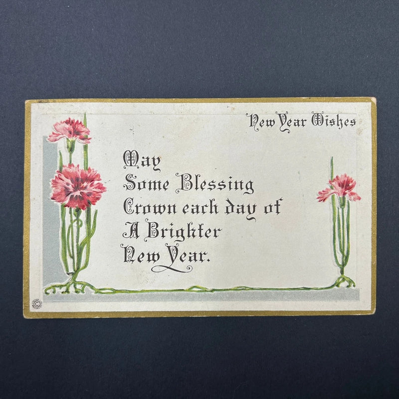 Vintage Stecher Litho New Year Postcard Pink Carnations Embossed Flowers 1910s Carnation