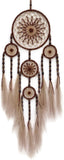 Brown Large Handmade Dream Catcher with Pampas Grass for Home Decor Pampas Grass