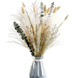 Natural Dried Flower Bouquet ,17" White Pampas Grass Branches Boho DŽcor for Pampas Grass