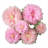 Artificial Tissue Paper Peony 6 pcs Mybbshower Pinks Flowers Decoration Assorted Peony