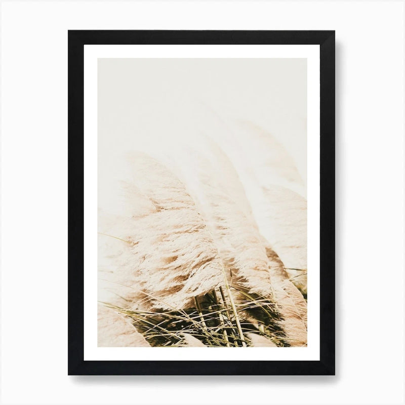 Breezy Pampas Grass Art Print Framed Wall Art Poster Canvas Print Picture Pampas Grass