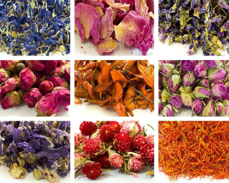 62+ types dried flowers - 10g - 50g, edible , dried petals, tincture, craft Carnation