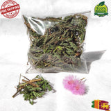 Dried MIMOSA PUDICA Sensitive Herbal Plant Root,Leaves,Flowers 100% Natural Flowering Plants