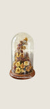 Real Butterfly Cloche Dried Flowers Dried Flower
