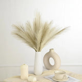36PCS Faux Pampas Grass 21.7 Inch, Small Artificial Pampas Grass Decor for Va... Pampas Grass