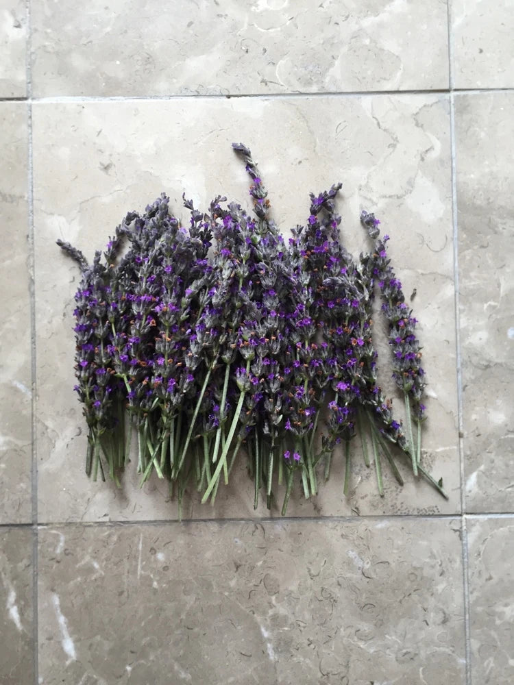 Organic Dried Lavender USA California Dried Flower