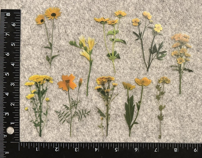 Lot of 10 Assorted Flowers Yellow Vigour Daisies Daisy Outdoor Stickers Daisies
