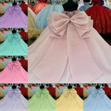 Big Bow for Quinceanera Dresses Sweet 15 16 Glitter Custom Color Birthday Party Roses