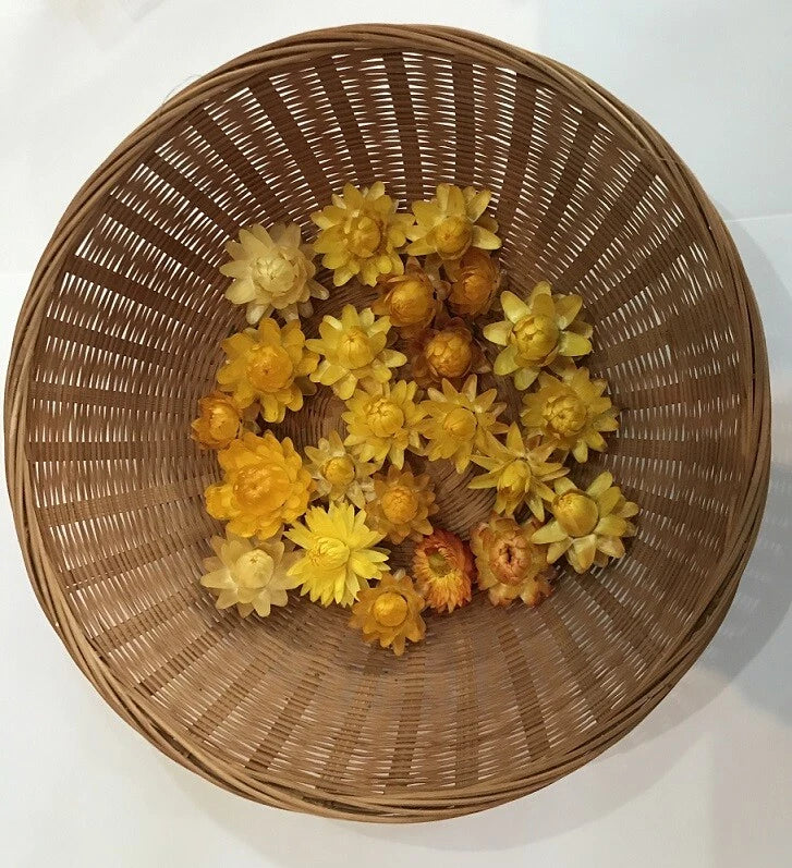 Dried yellow strawflowers in a round wicker basket for crafting use