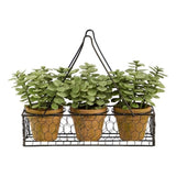 Pemberly Row 7" Mini Jade Garden Artificial Plant with Brown Hanging Planter Green Plant