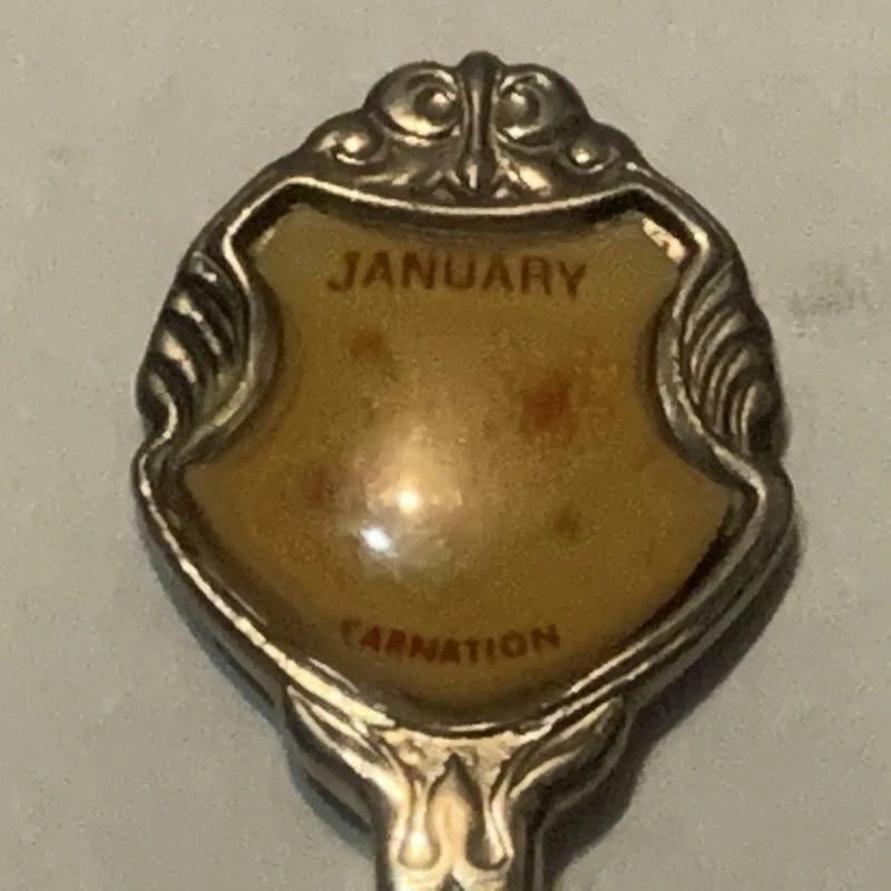 January Carnation Flower Collectable Souvenir Spoon DV Carnation