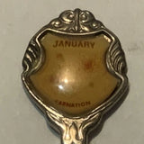January Carnation Flower Collectable Souvenir Spoon DV Carnation