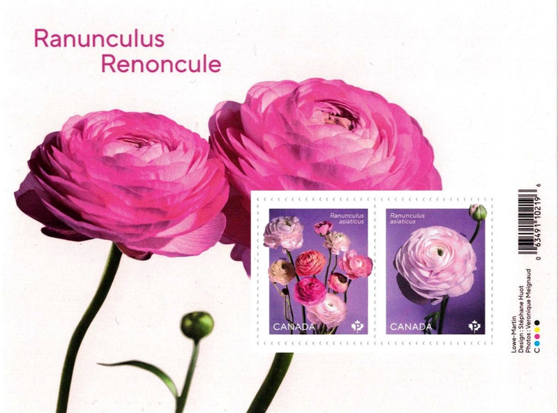 2023 Canada Ranunculus Souvenir Sheet 2 Stamps Flowers Ranunculus