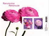 2023 Canada Ranunculus Souvenir Sheet 2 Stamps Flowers Ranunculus