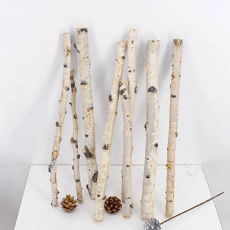 Natural dried birch branch sticks with pine cones, rustic floral decor for home