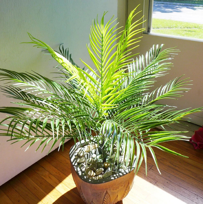 20" Hight Artificial Fork Tropical Plastic Plant Small Tree 15 Leaves (#@142) Green Plant