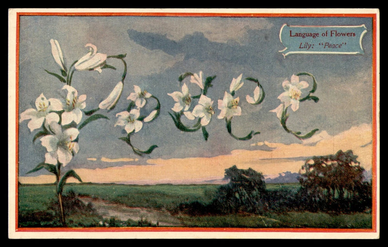 Language of Flowers postcard with lilies and Peace Lily botanical illustration