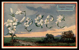 Language of Flowers postcard with lilies and Peace Lily botanical illustration