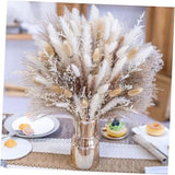 180 PCS Pampas Grass Decor Natural Dried Flowers | Boho Dried Floral 180PCS Pampas Grass