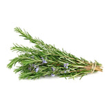 Rosemary Herb Seeds Ð 200 Fresh, Flavorful, Hardy Seeds for Home Gardens Garden Plants