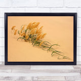 Pampas Grass In Sand Dune Dunes New Zealand Reed Paki Wall Art Print Pampas Grass