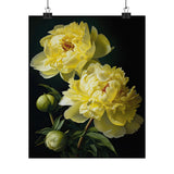 Yellow Peony Flowers Poster, Yellow Flower Art Print, Floral Artwork 19 Peony