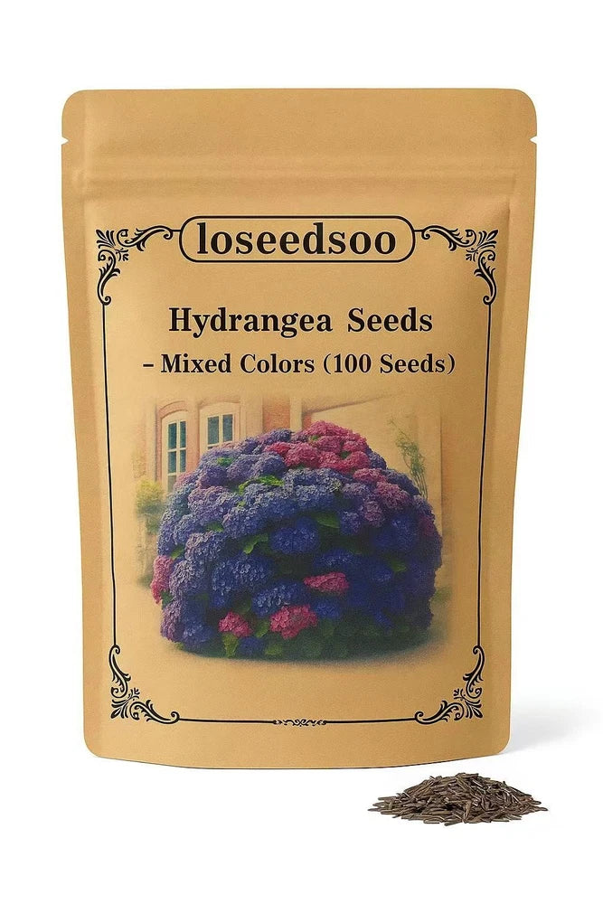 100 Mixed Color Hydrangea Seeds Vibrant Blooms in Blue, Pink & Purple for Garden Hydrangea