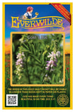 30 Goat's Rue Wildflower Seeds - Everwilde Farms Mylar Seed Packet Flowering Plants