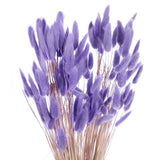 120Pack Natural Bunny Tails Dried Flowers 24" Mini Pampas Grass, Purple Pampas Grass